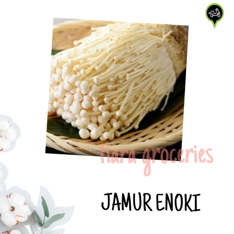 

Jamur tiram / kuping / merang / champignon / shimeji/ shitake