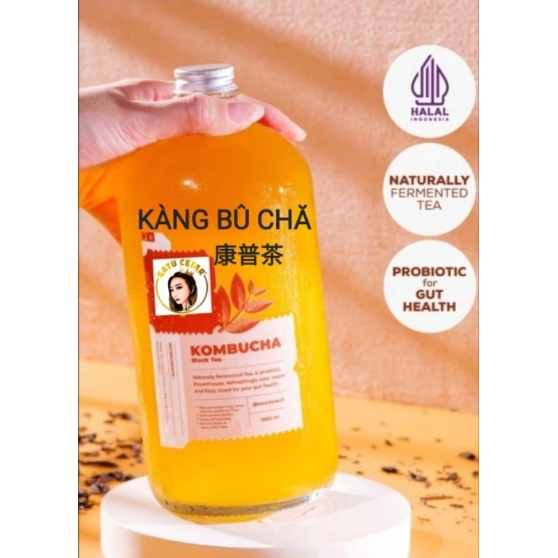 

RATU CETAR DRINK "KOM BU CHA *康普茶*