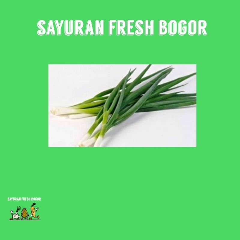 

Daun Bawang ( 250 Gram ) | Sayuran Fresh Bogor