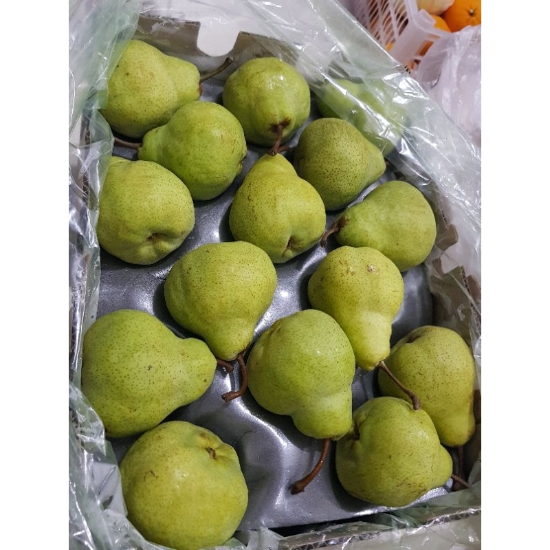 

Pear Pacham Africa 1kg