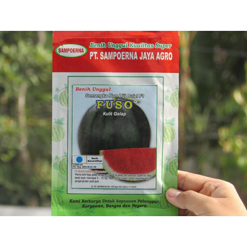 Benih Semangka Unggul Oroginal FUSO F1 (BELI 10 BKS GRATIS 1 BKS SANGKUNI)