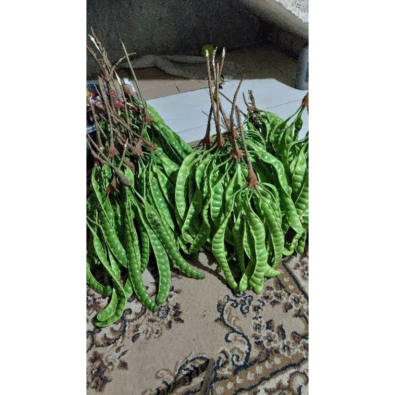 

PETE PADI PER 10 PAPAN ATAU 10 LONJOR