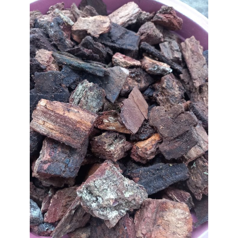KULIT PINUS CACAH /PINE BARK /MEDIA TANAM
