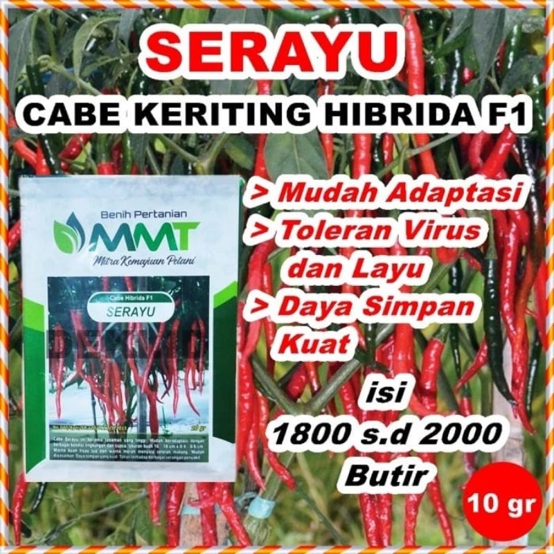 Bibit Cabai Keriting | Benih Cabe Kriting | Biji Cabe Kriting SERAYU By MMT 10Gr