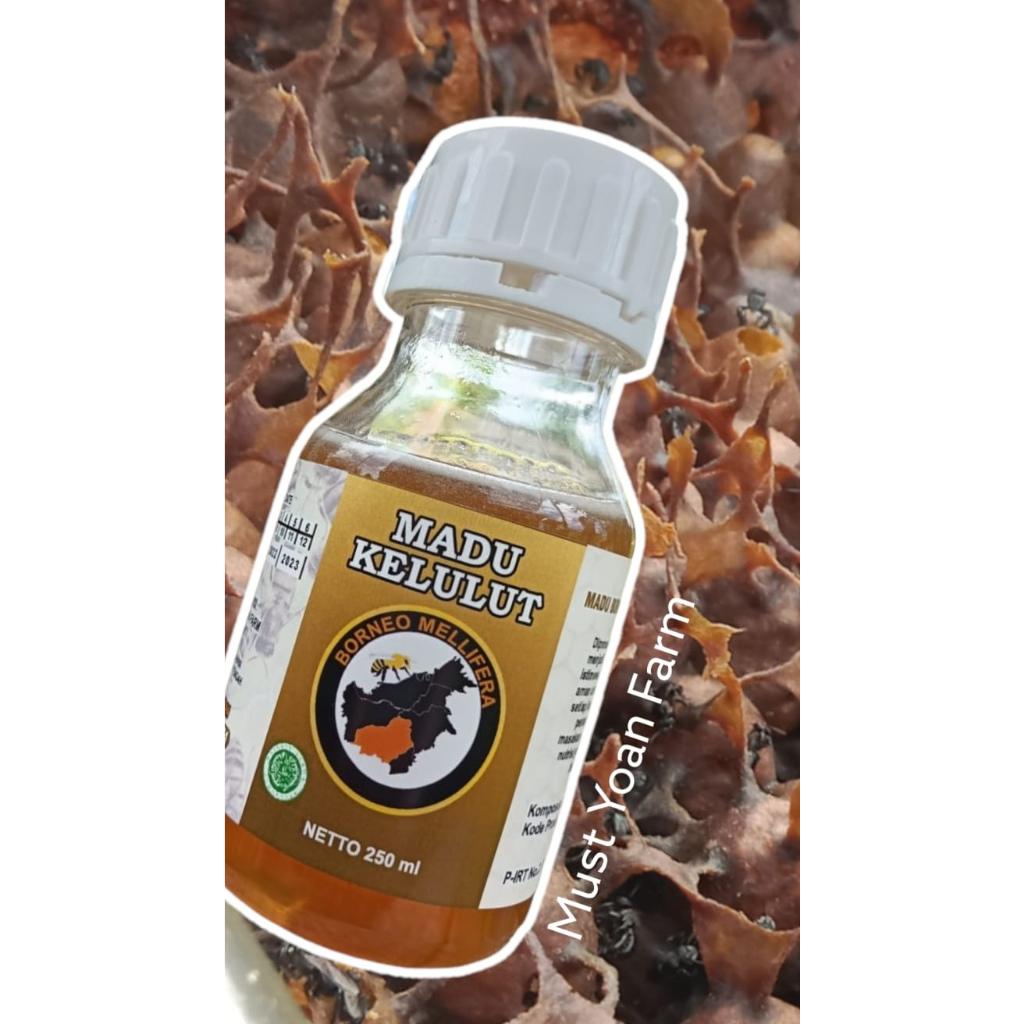 

Madu Kelulut Borneo Mellifera 250ML