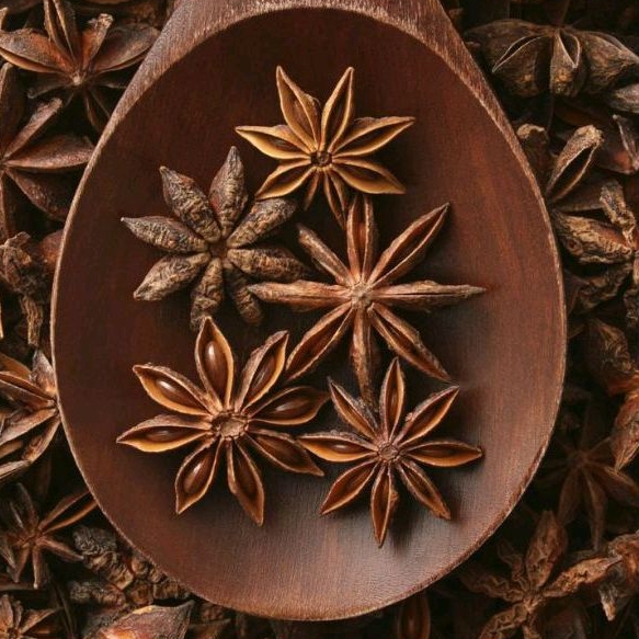 

Pekak / Bunga Lawang 100g / Whole Star Anise / Bumbu Rempah / Pusat Bumbu