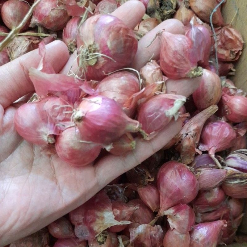 

bawang merah per kilogram