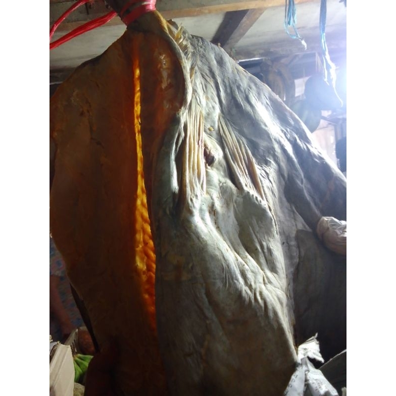 

ikan asin jambal roti