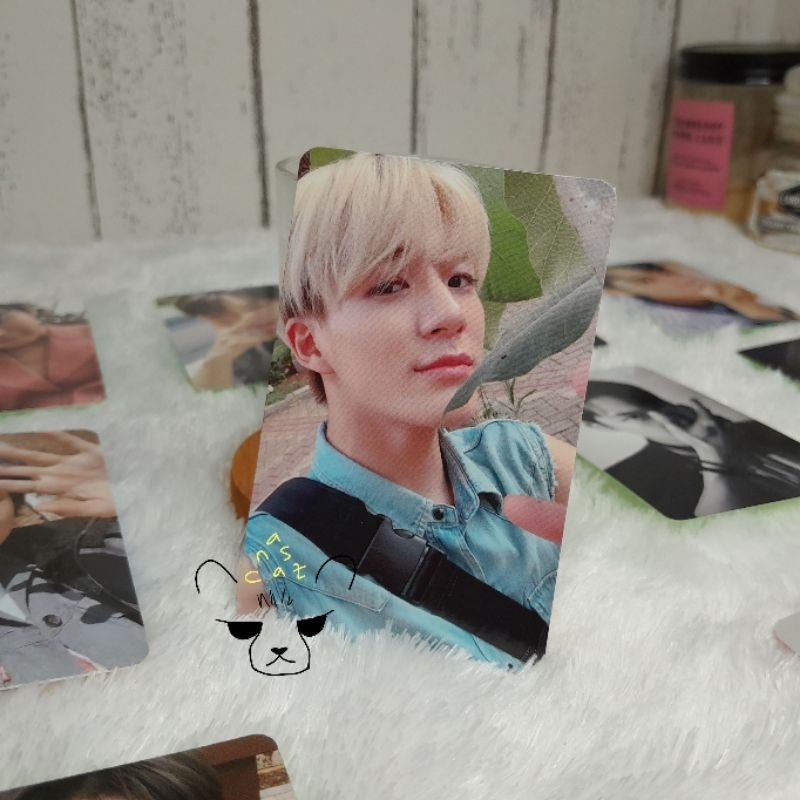 pc jeno acekit 2019(jeno pohon mangga)