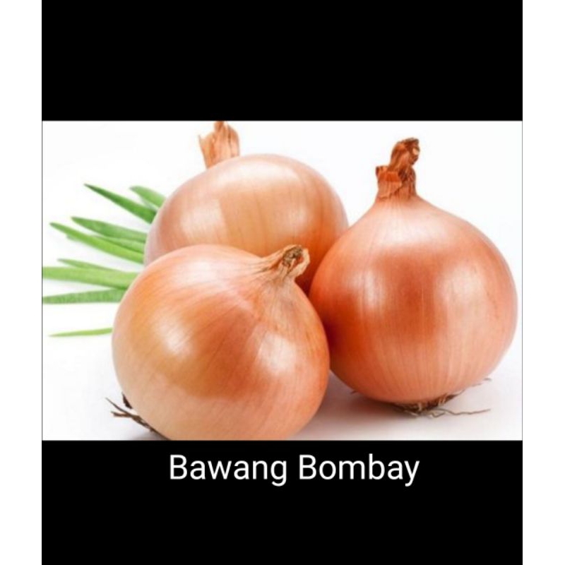 

Bawang Bombay 200gr
