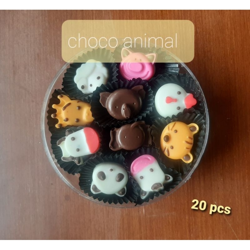 

choco animal