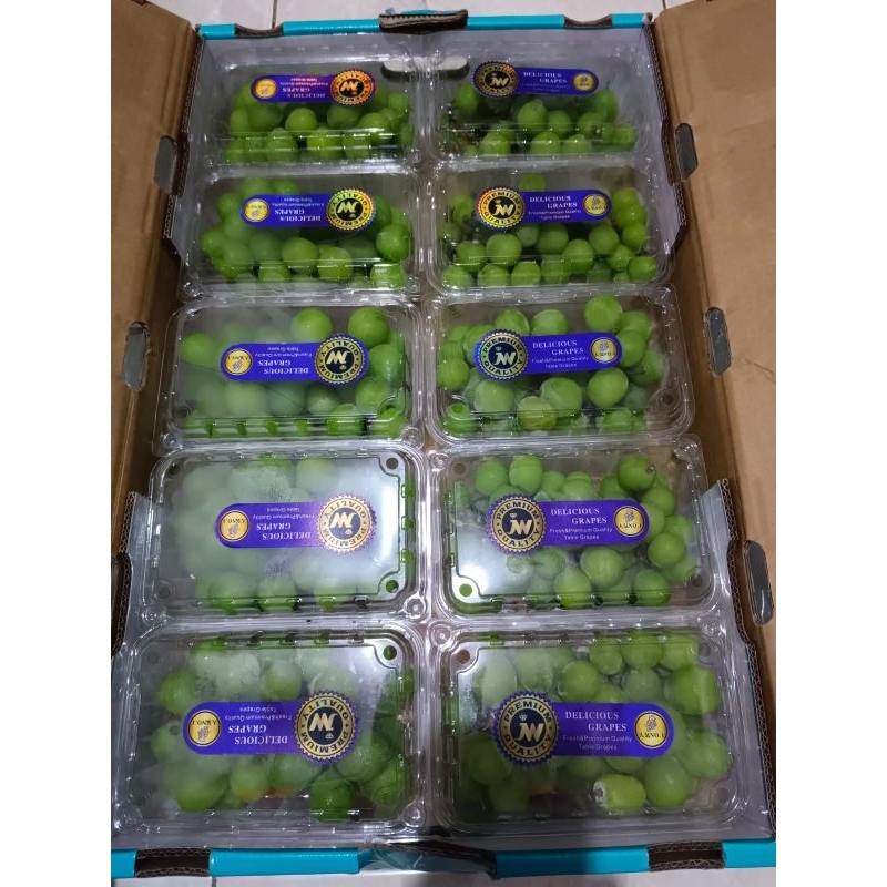 

Anggur Shine Muscat 500gr