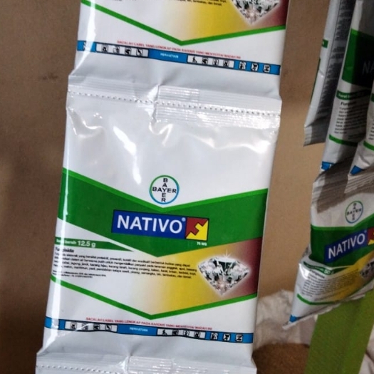 Nativo 12,5 gram