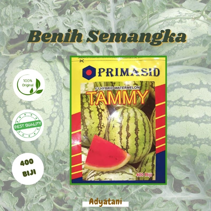 Benih Semangka Hybrid F1 Original Tammy Primasid