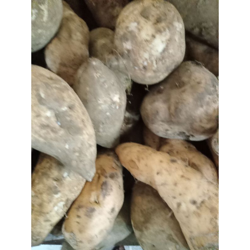 

Umbi/ ubi jalar Wonogiri 500 gram