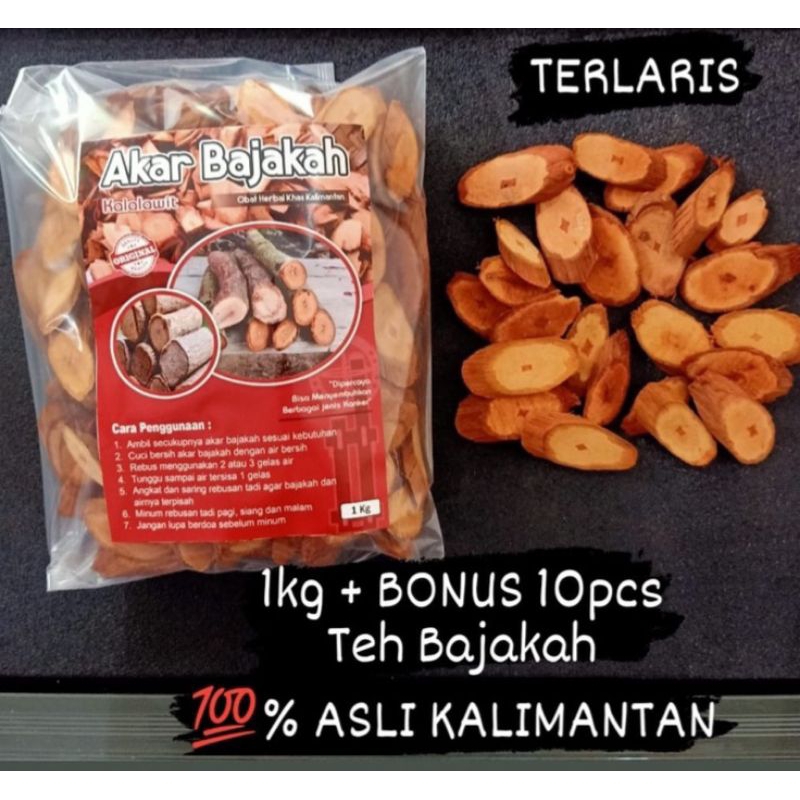 

AKAR BAJAKAH ASLI KALIMANTAN