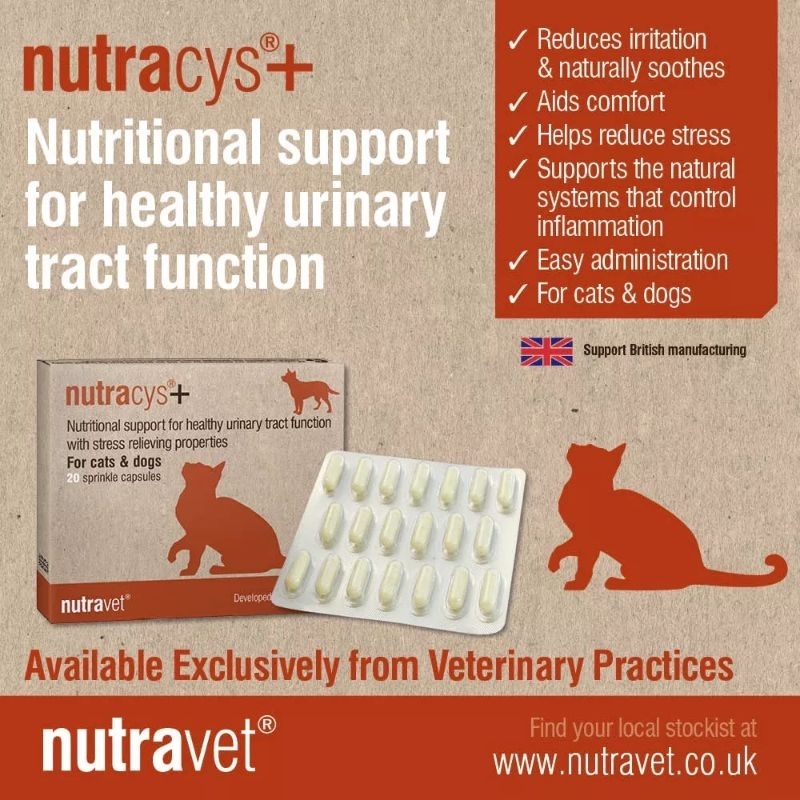 NUTRACYS + Obat Kucing Susah Kencing Obat Kucing Susah Pipis Anjing Kencing Berdarah FUS FLUTD Infek