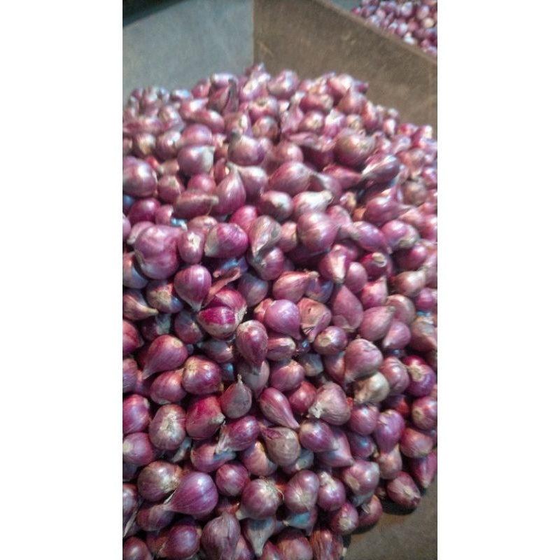 

bawang merah kulit brebes 1kg