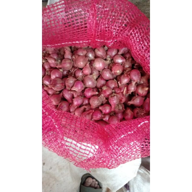 

Bawang merah lokal kwalitas terbaik