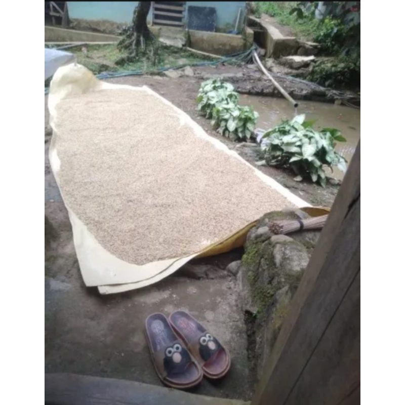 alas terpal jemur padi terpal jemur hasil panen terpal khusus untuk jemur gabah padi