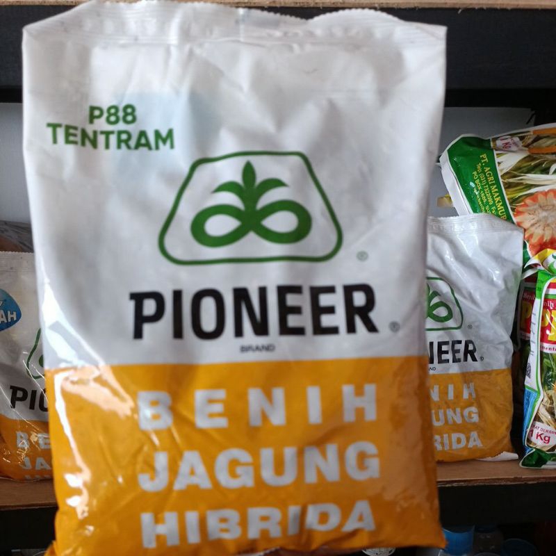 

jagung P88 tentram PIONER 1 KG