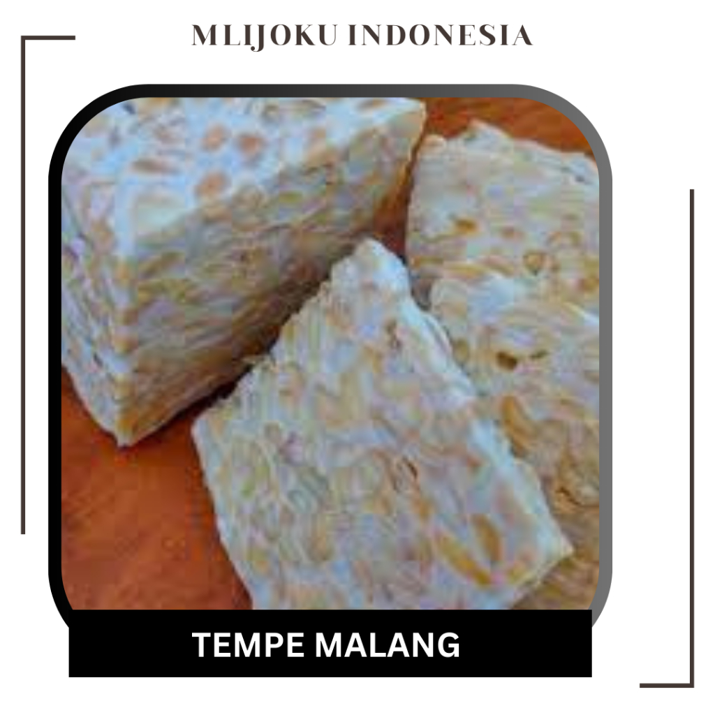 

Tempe Malang