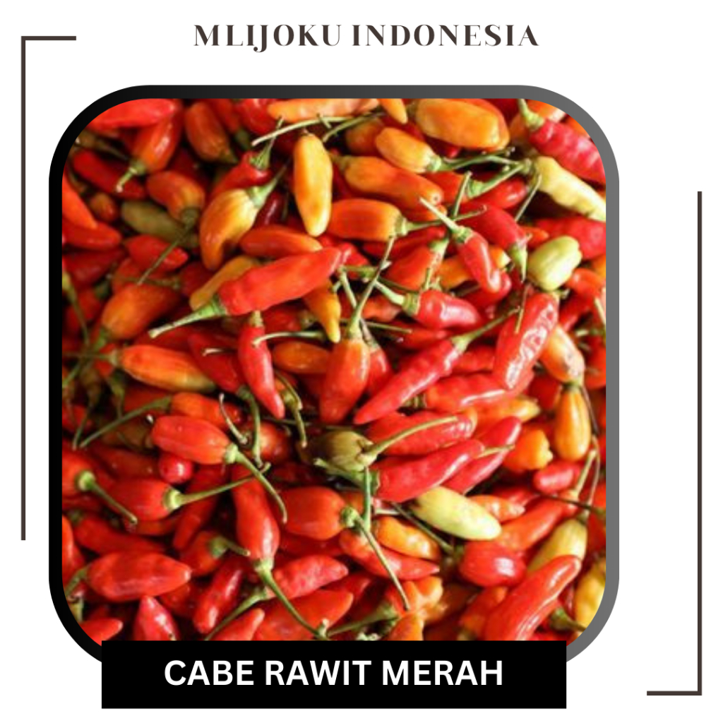 

Cabai - Cabe Rawit Merah Segar 100gr, 250gr, 500gr