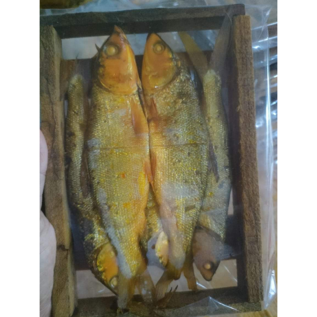 

Ikan Bandeng Segar | Bandeng Presto Siap Saji