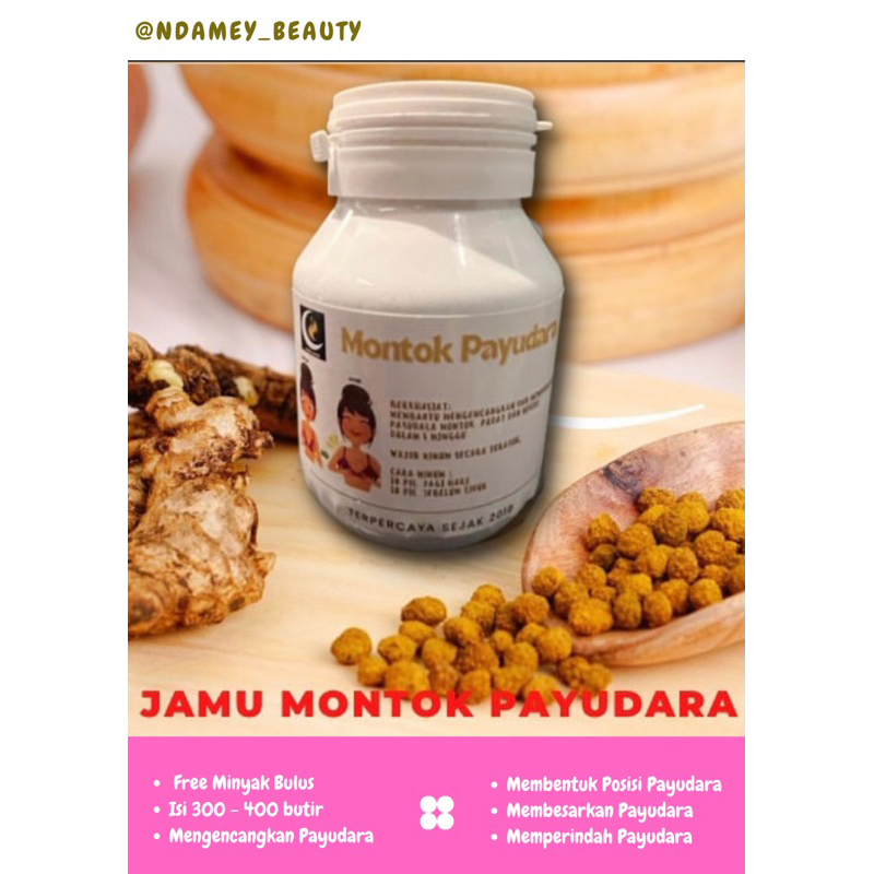 Jamu montok payudara