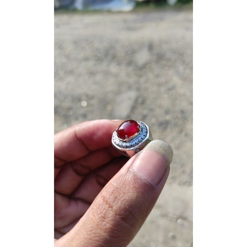 calsidony  red baron pacitan
