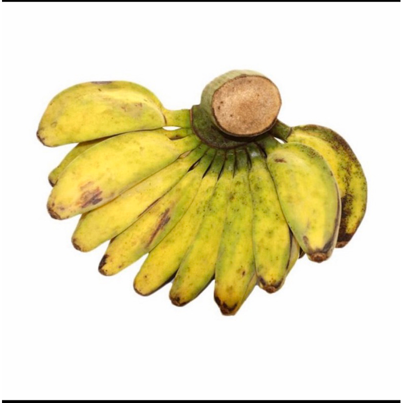 

buah pisang kepok fresh 1 sisir buah lokal (ukuran besar)