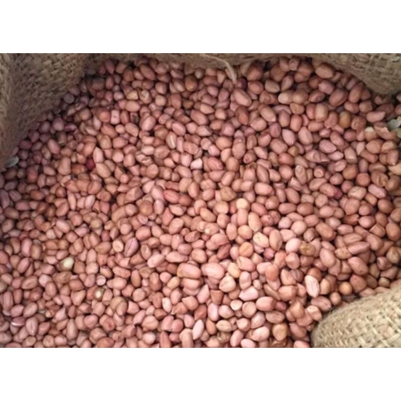 

KACANG TANAH INDIA 1Kg