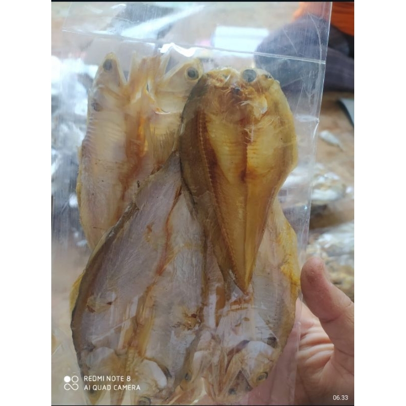 

ikan asin tawar