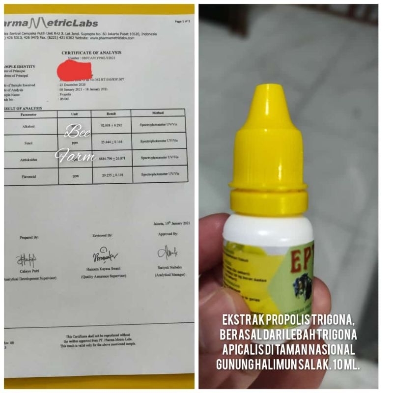 EPT Extract propolis trigona