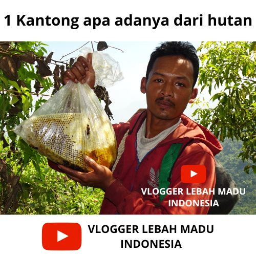 

(Chat dulu) Sarang Madu Hutan Liar Asli 100% From West Java