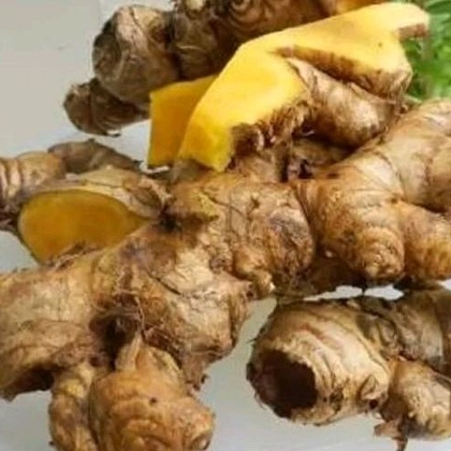 

bangle/panglay masih fresh siap kirim