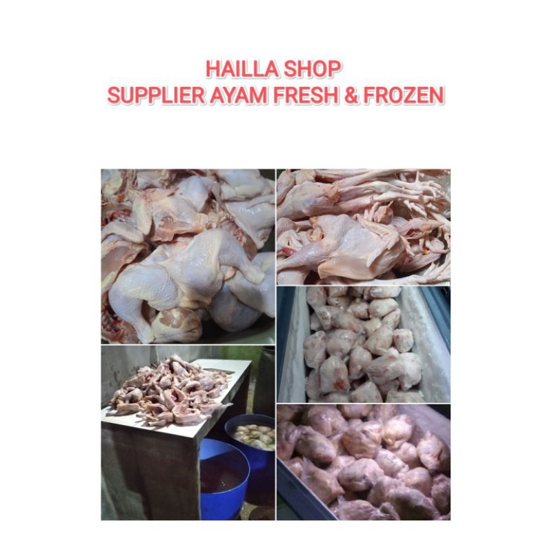 

Ayam Broiler Fresh segar