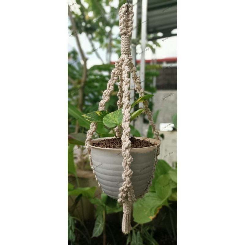 pot gantung murah / pot gantung macrame / macrame pot plant hanger / pot gantung tanaman