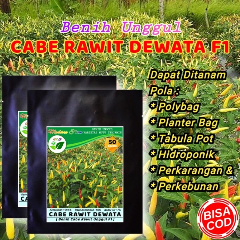 BENIH UNGGUL CABE RAWIT DEWATA F1