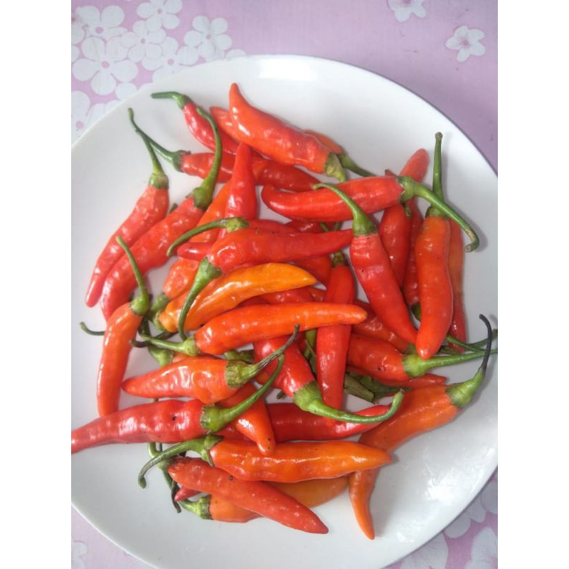 

Cabe rawit merah