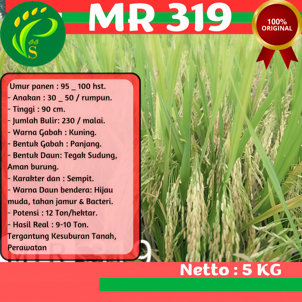Biji Padi Unggul MR 319 5KG