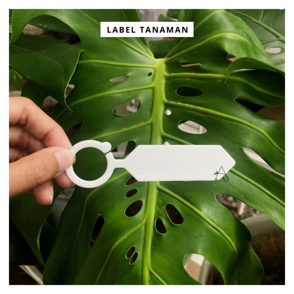 Tag Tanaman Warna Putih Bahan Tebal | Label Tanaman Hias