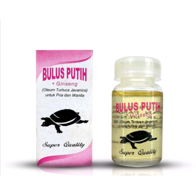 Minyak Bulus Asli / Minyak Bulus Putih Pembesar Payudara Dan MR P Original 100%Ampuh