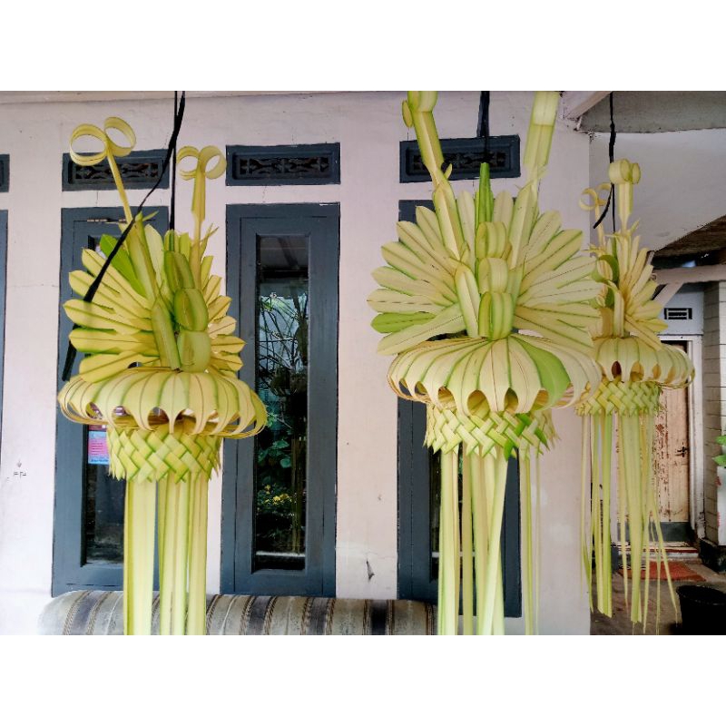 janur kuning pernikahan/khitanan asli segar CIMAHI BDG PADALARANG