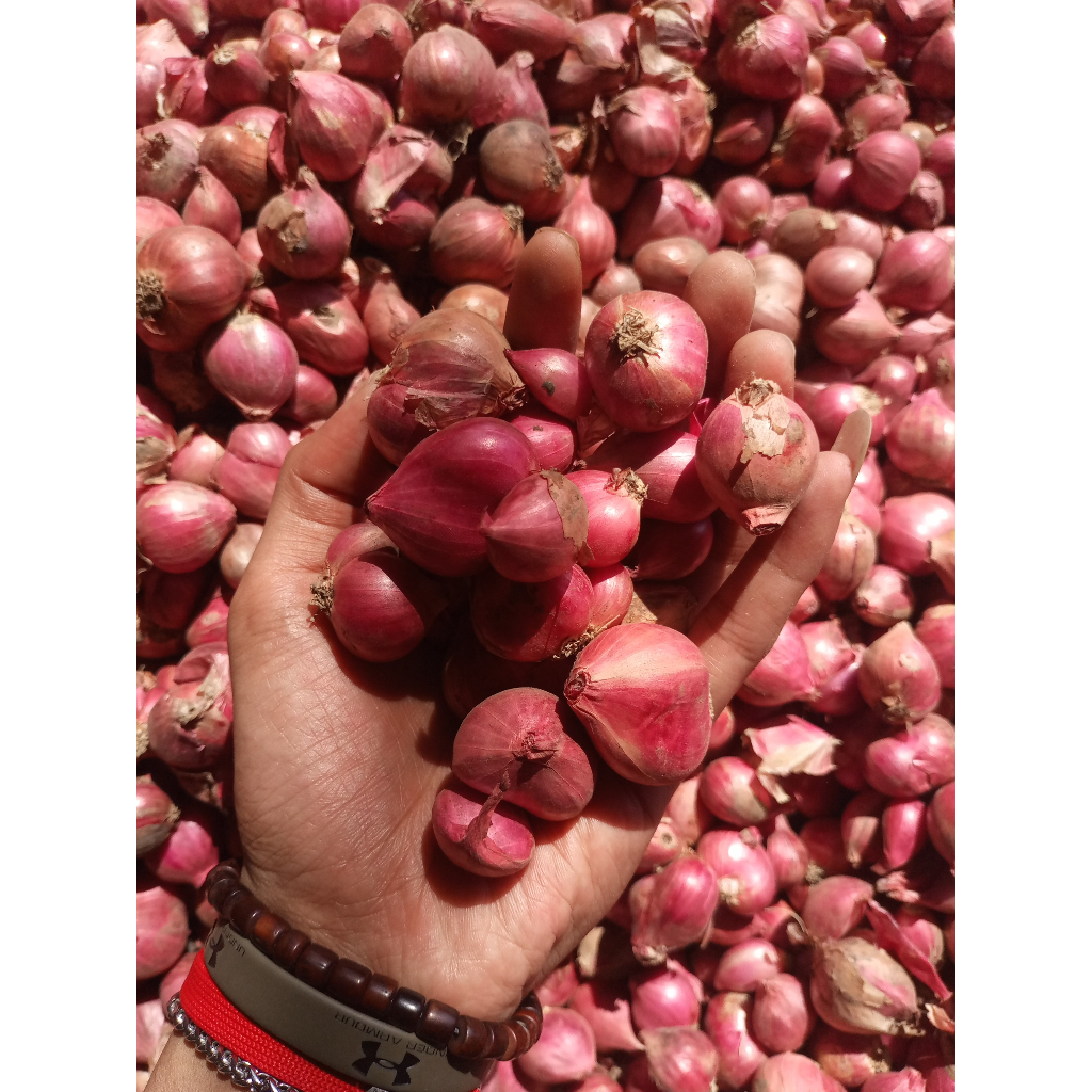

Bawang Merah (BAMER) Probolinggo Super Kering 500gr