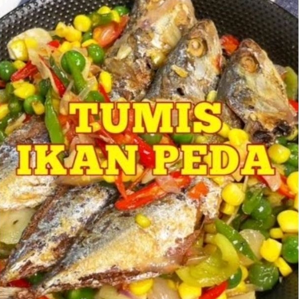 

NEW_ANEKA TUMIS