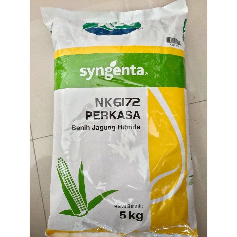 Benih jagung Nk 6172 perkasa baru 5kg