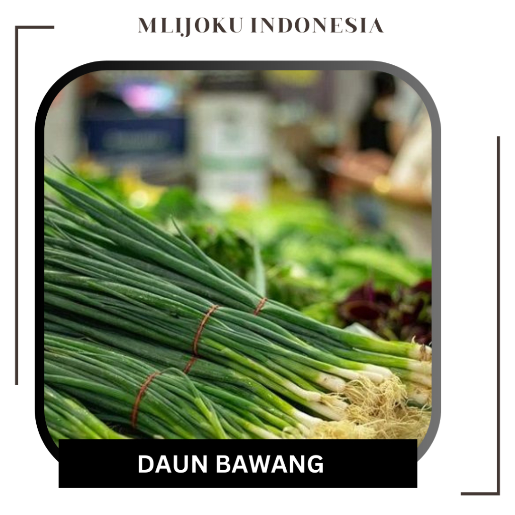 

Daun Bawang Fresh Segar 1 ikat