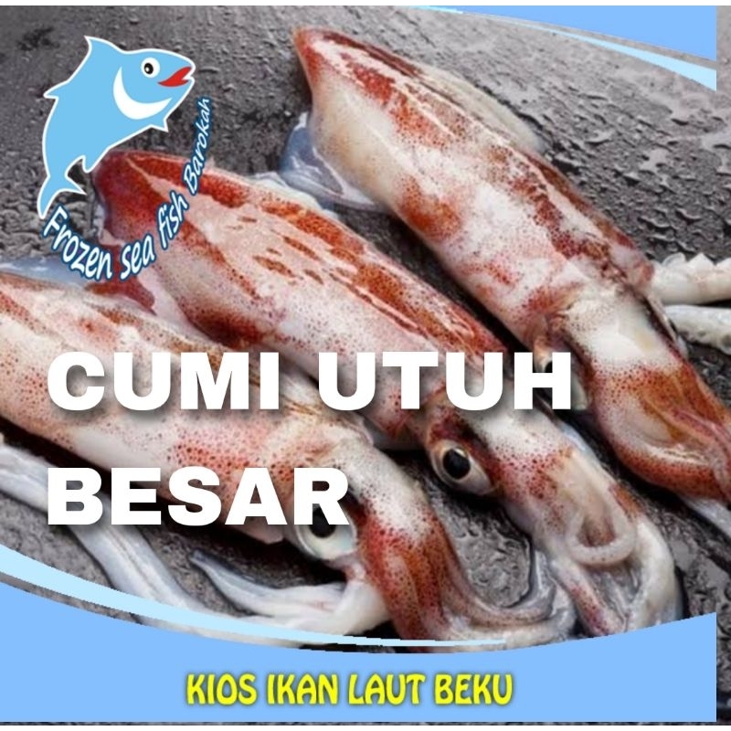 

Cumi Lokal utuh besar per 1 kg