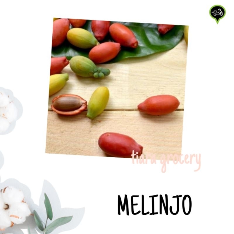 

Melinjo / daun melinjo